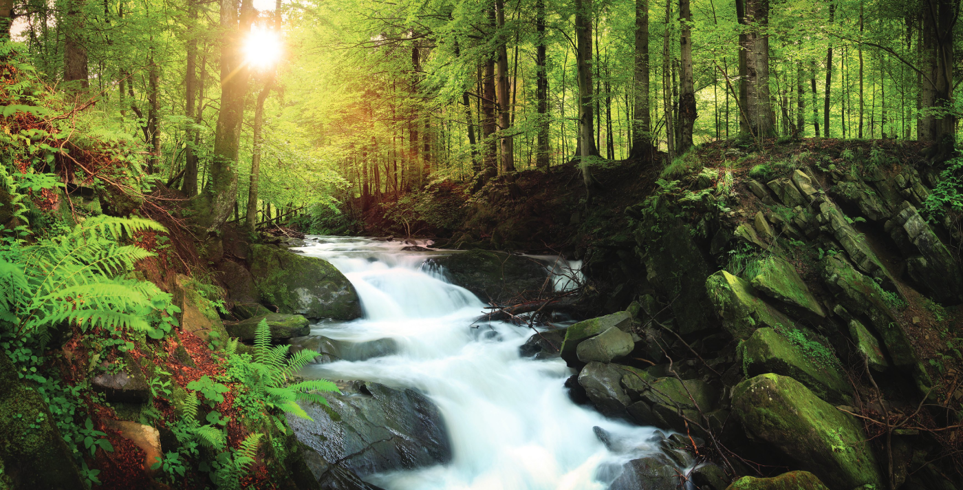 Scenic waterfall